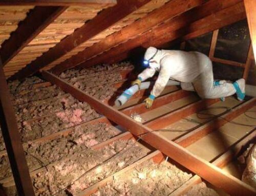 When to Hire an Attic Insulation Removal Service in Barrie
